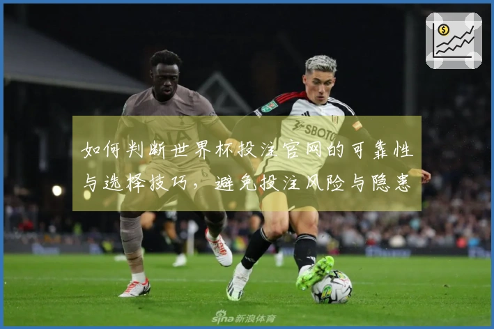 如何判断世界杯投注官网的可靠性与选择技巧,避免投注风险与隐患