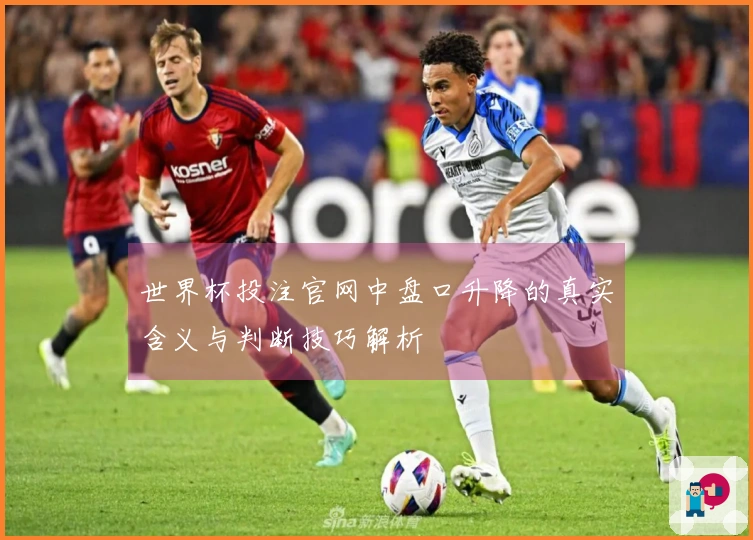 世界杯投注官网中盘口升降的真实含义与判断技巧解析